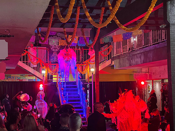IMG_0446