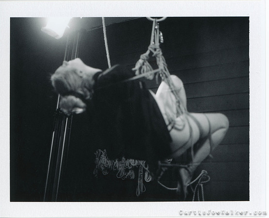 Scan 39
